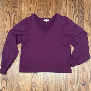 Michael Stars Plum V-Neck Long Sleeve Top